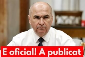 597884086 122145727610655288 4133655626911940674 n