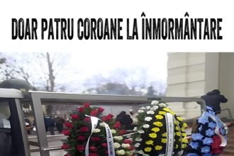 598160508 122145755210655288 882503695001689964 n