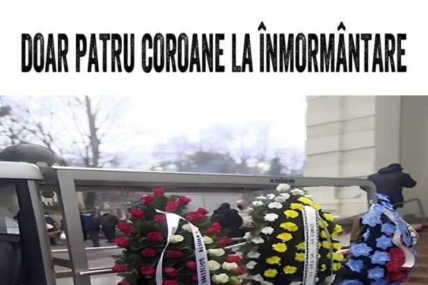 598160508 122145755210655288 882503695001689964 n