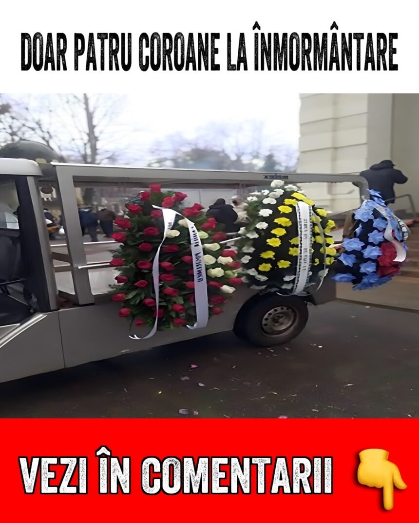 598160508 122145755210655288 882503695001689964 n