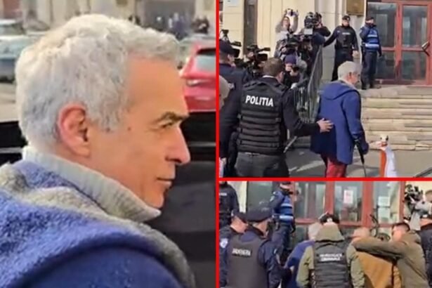 600335159 122145717644655288 8496557415961669062 n