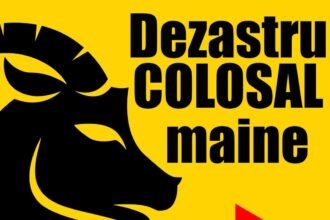 600526119 122145752186655288 2544402559119952354 n