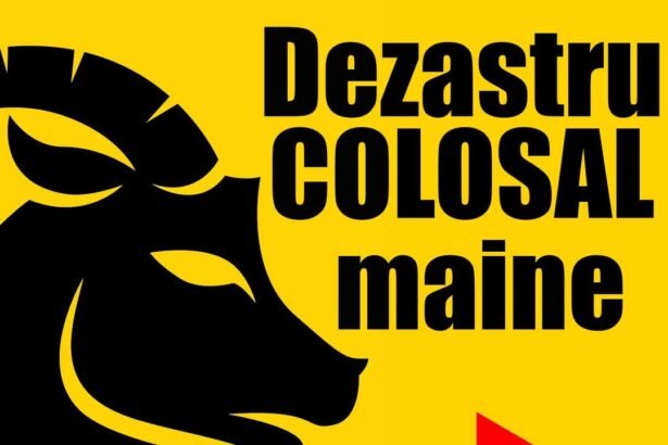 600526119 122145752186655288 2544402559119952354 n