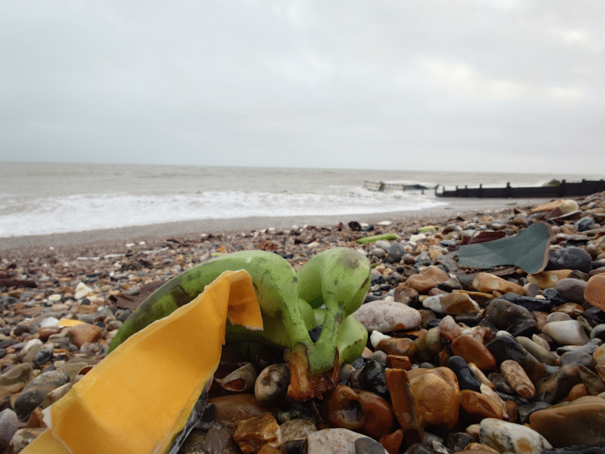 „Invazie” de banane pe plajele din sudul Angliei: ce s-a întâmplat 1 wp header logo 1117