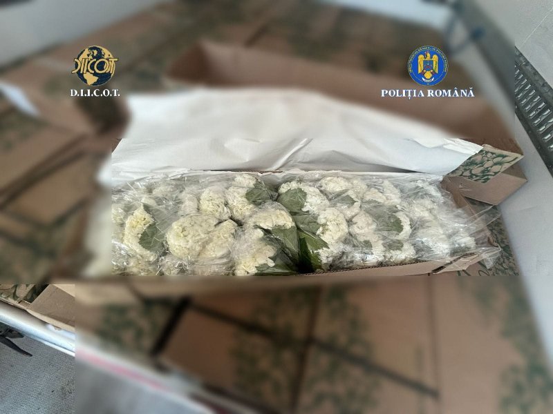 Peste 250 kg de cocaină din Columbia, ascunsă în transporturi de flori. 4 persoane au fost trimise în judecată, într-un dosar DIICOT 1 wp header logo 2150