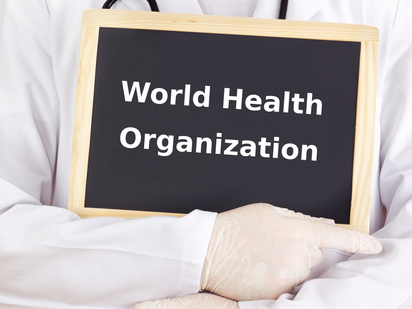 wp header logo 2330