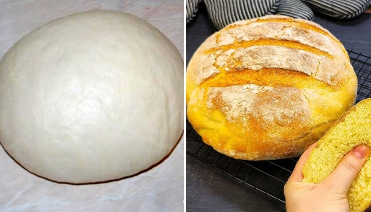 Cu ce înlocuiești drojdia, dacă faci pâine? Ingredient la care nu te-ai fi gândit, dar care te salvează 1 wp header logo 2409
