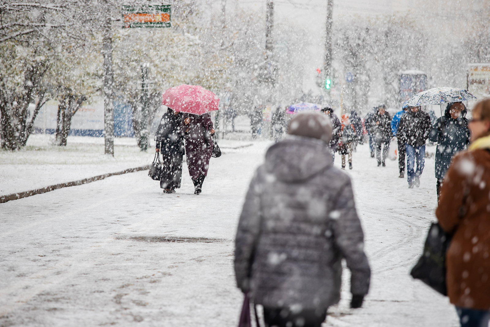 Capitala și sudul țării sub ninsori de Crăciun: vânt puternic și temperaturi negative, avertizează meteorologii 1 wp header logo 2699