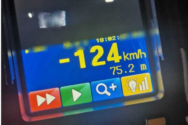 wp header logo 135
