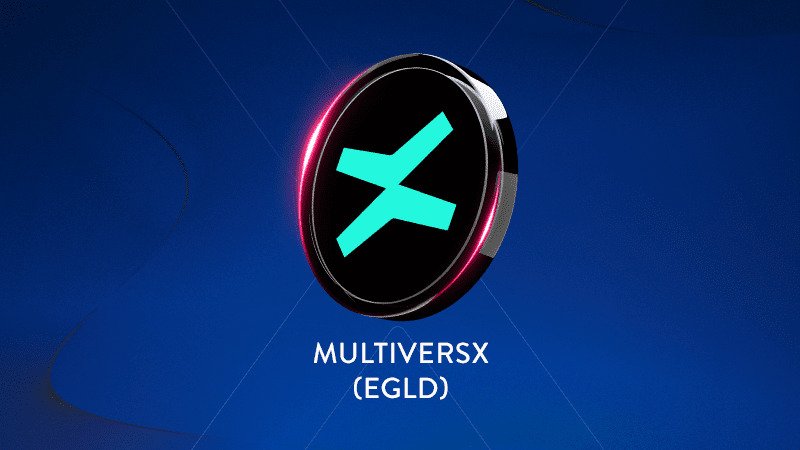 MultiversX anunță ”proces controlat de restructurare” / Criptomoneda românească a ajuns să valoreze 5,8 dolari / Vârful a fost în 2021, când valora peste 400 de dolari 1 wp header logo 222