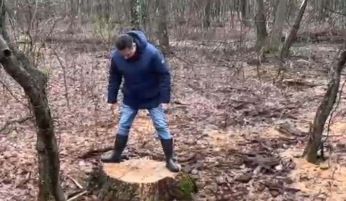 Ministrul Mediului anunţă că au fost deschise două dosare penale după tăieri ilegale de arbori, la Băile Felix: „Este infracțiune” 1 wp header logo 2686
