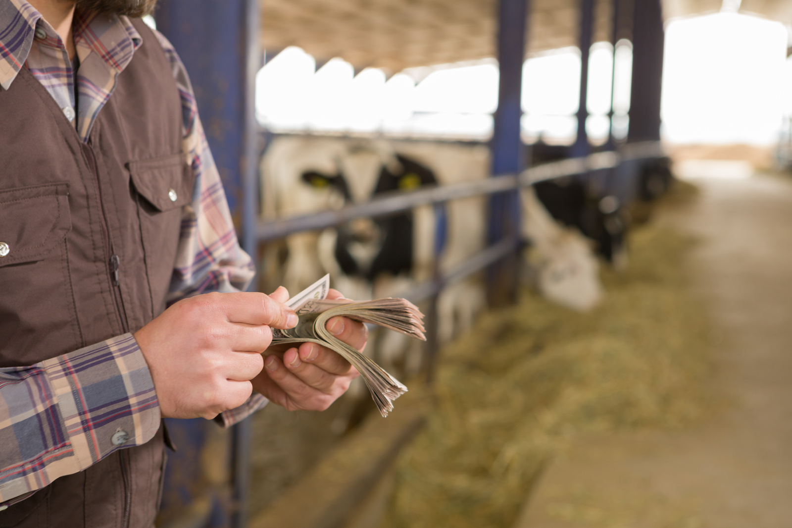 România a primit aproape 1 miliard de euro din fonduri UE pentru agricultură. Sumele acoperă avansurile plătite fermierilor 1 wp header logo 534