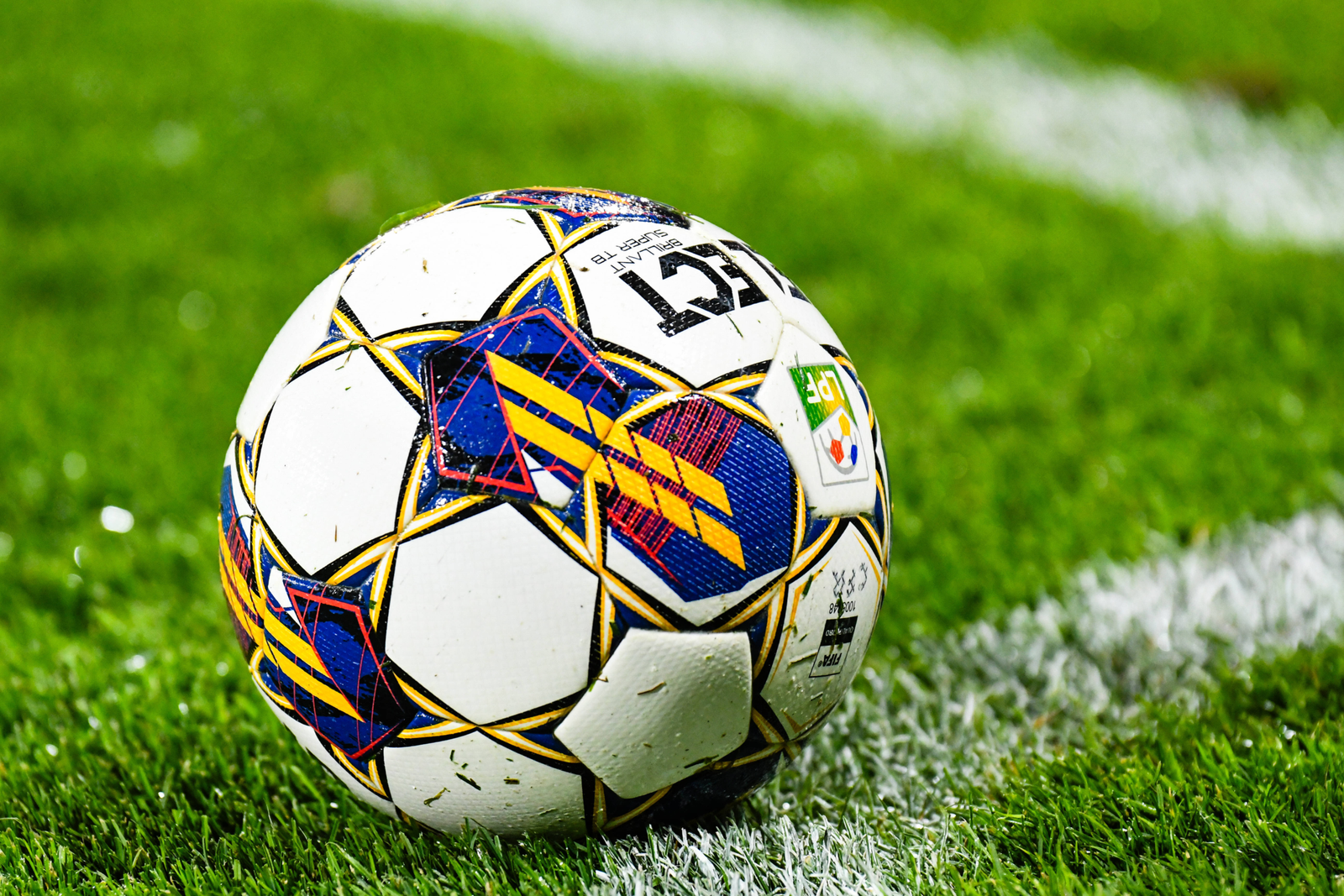 wp header logo 852