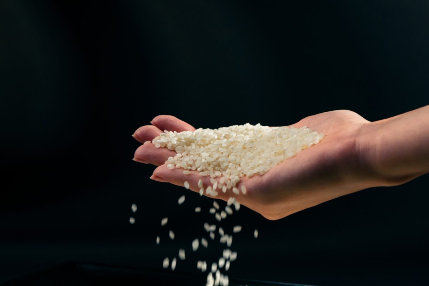 Ce înseamnă când îți apare orez în vis? 1 wp header logo 1327