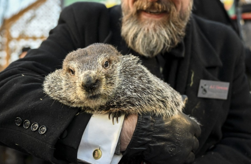 „Phil și-a văzut umbra”. Cât va mai dura iarna în SUA, conform „predicției” marmotei din Pennsylvania 1 wp header logo 138