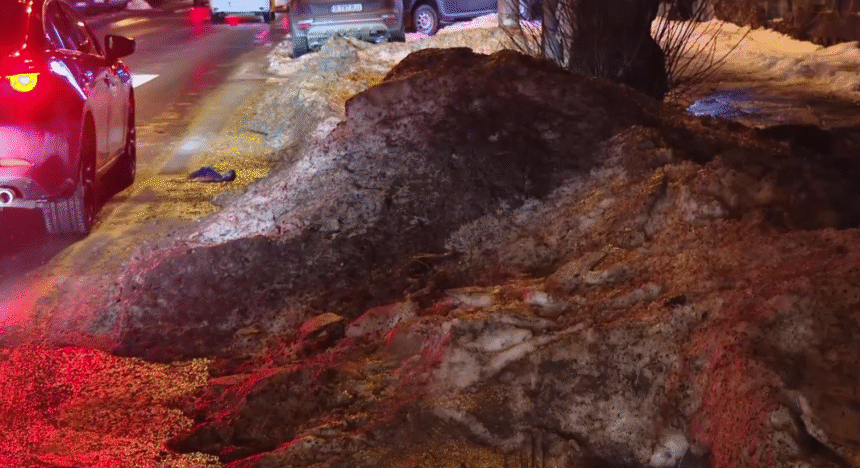 „Asta ajunge în plămânii noștri”. Diana Buzoianu spune că zăpada neagră de pe străzi este „simbolul poluării din București” 1 wp header logo 2025