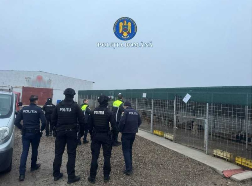 Percheziții în județul Vrancea, după ce zeci de câini dintr-un adăpost au fost uciși sau maltratați 1 wp header logo 983