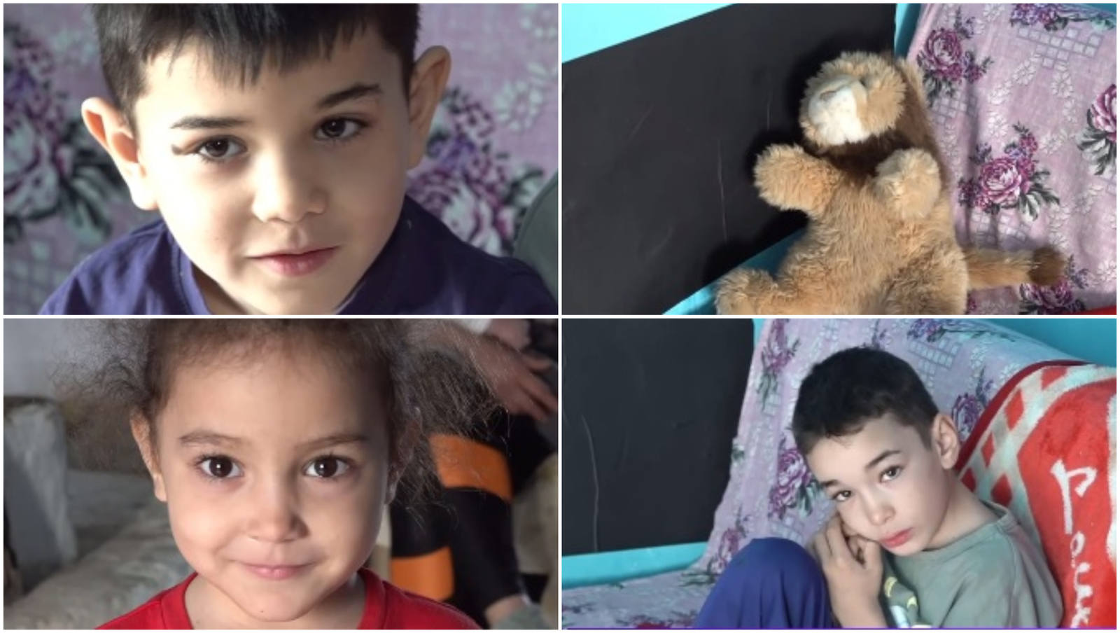 Copii condamnați la sărăcie. Drama celor 9 frați din Iași, care împart o singură jucărie: un leu de pluș primit cadou de la grădiniță 1 wp header logo 1128