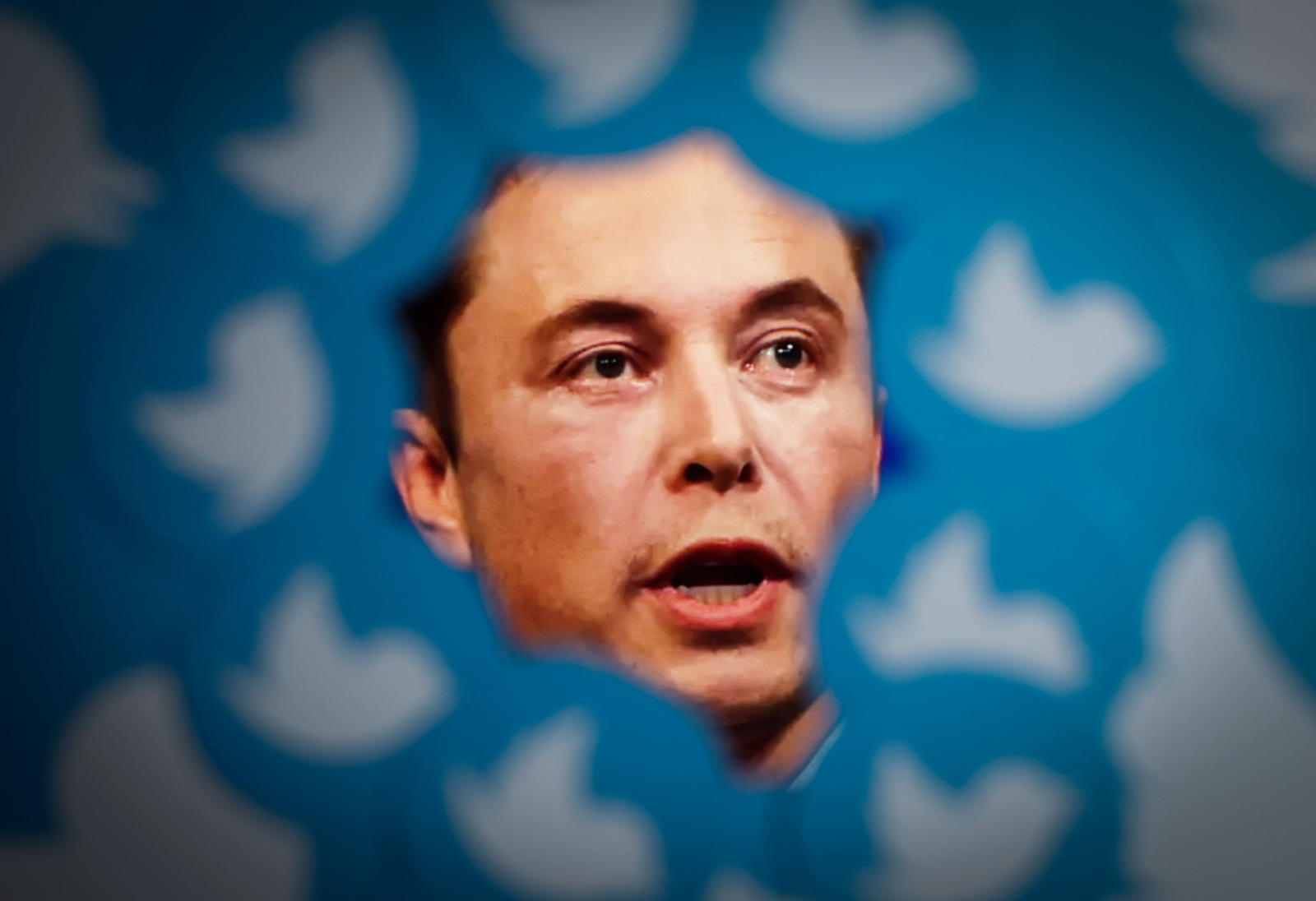 Elon Musk a indus în eroare investitorii Twitter: decizia unui juriu din San Francisco și implicațiile sale 1 wp header logo 1500