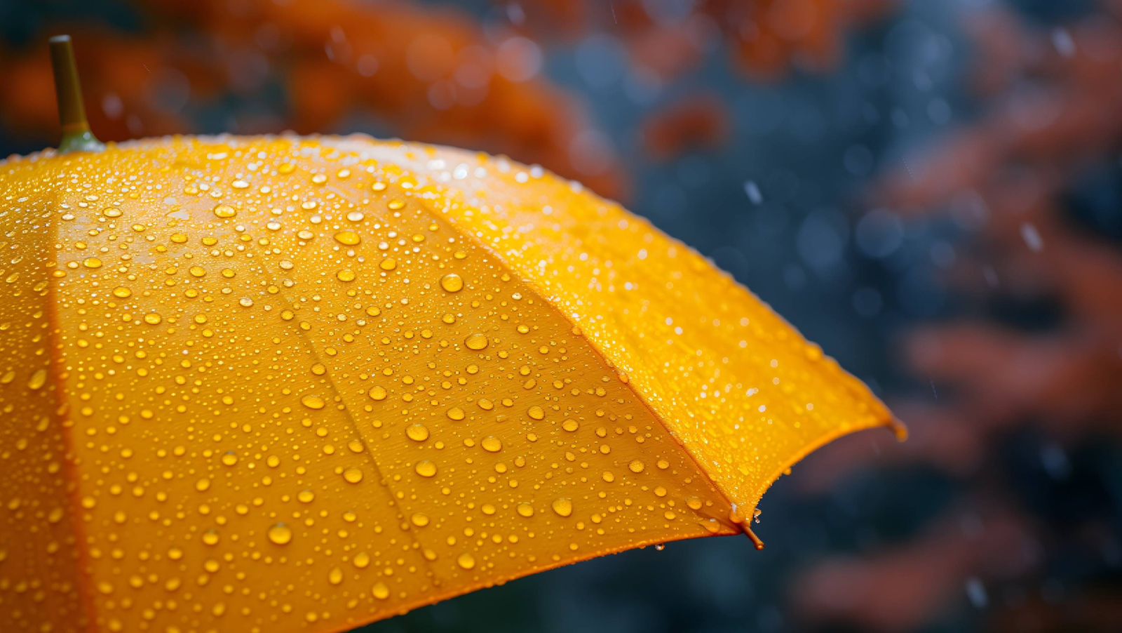 Prognoza meteo pentru următoarele patru săptămâni. Cum va fi vremea până la final de aprilie 1 wp header logo 1988