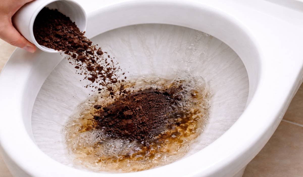 De ce nu e bine să arunci zaț de cafea în vasul de toaletă 1 wp header logo 25