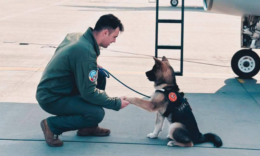 Un pilot român de avioane de vânătoare F-16 a murit după ce a încercat să salveze un câine căzut într-un bazin cu apă 1 wp header logo 716