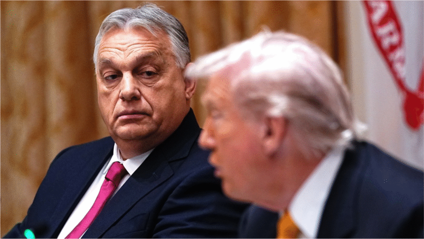 Înfrângerea lui Viktor Orban prevestește probleme pentru Donald Trump. Președintele SUA rămâne fără „campioni” ai democrației iliberale 1 wp header logo 1009