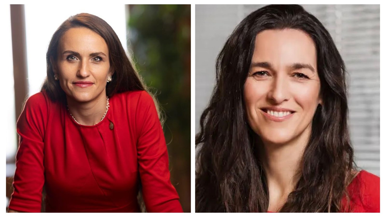 Oana Țoiu, discuții cu viitorul ministru de Externe din Ungaria despre o nouă abordare a politicii maghiare 1 wp header logo 1037