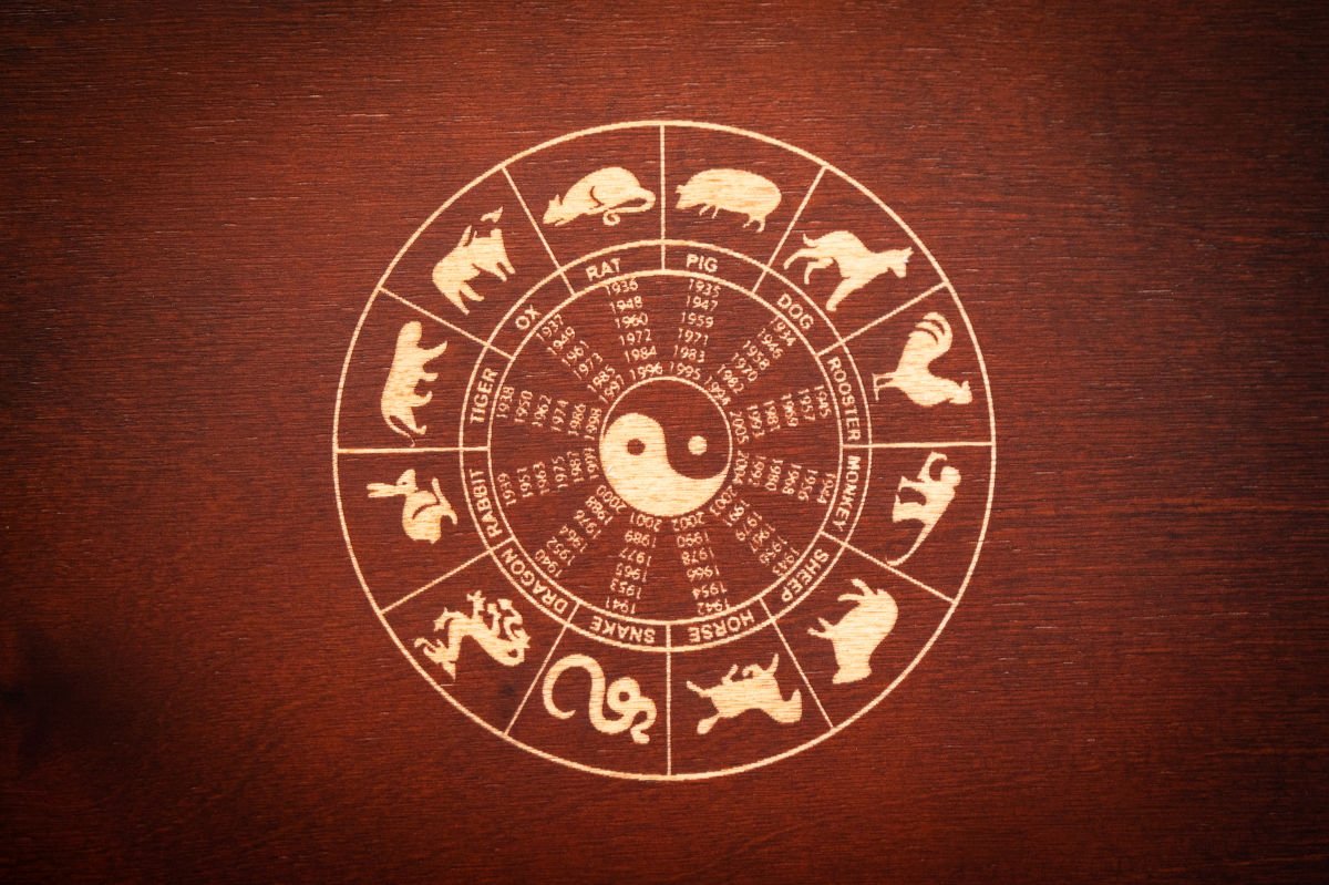 wp header logo 1875