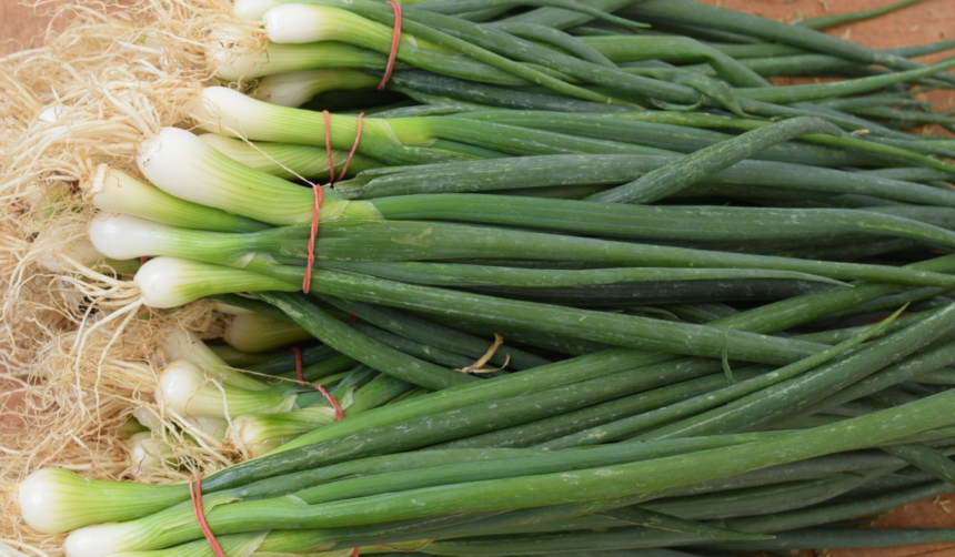 Cum să crești ceapă verde în pahar, fără pământ și fără efort 1 wp header logo 265