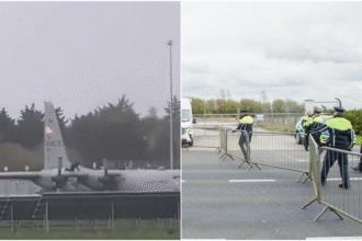 wp header logo 943