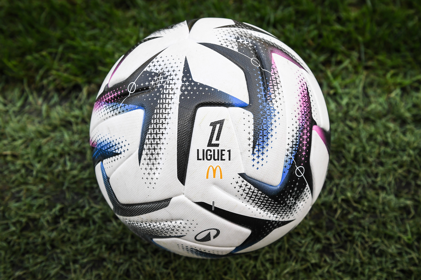 wp header logo 1372