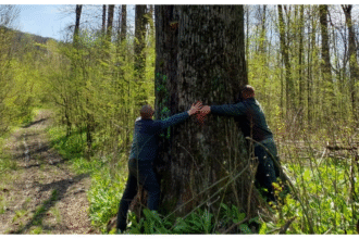 wp header logo 1582