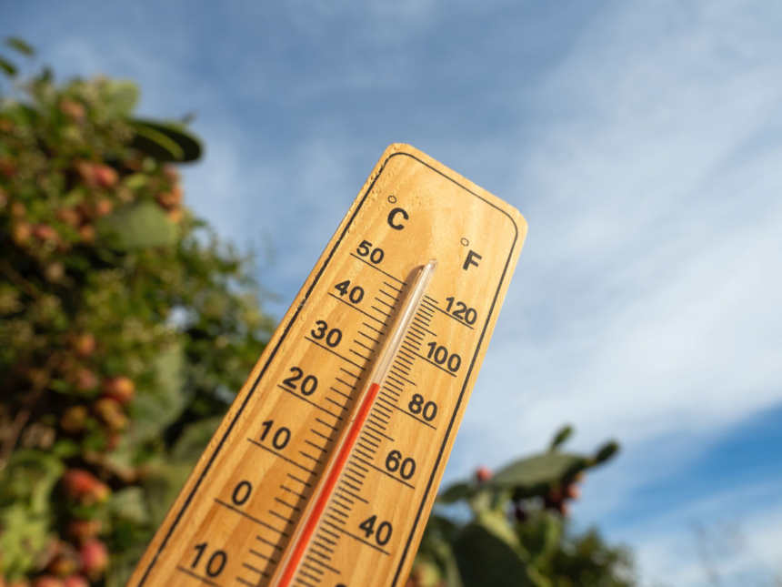 După ploi și furtuni, România va fi lovită de primul val de caniculă. Se anunță temperaturi de 30 de grade! 1 wp header logo 1747