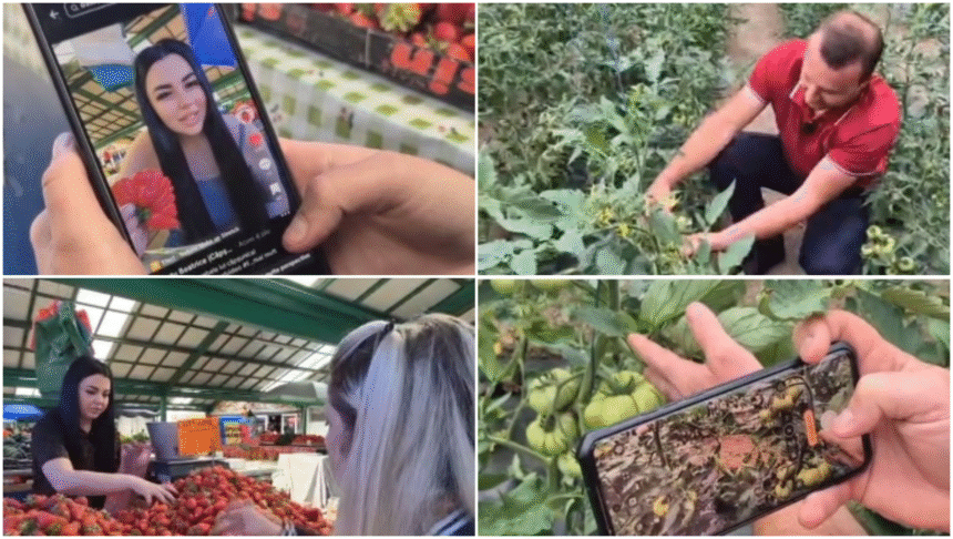 Noul trend printre comercianții din piețe: fructe și legume promovate pe rețelele sociale. Cum ajută clipurile online vânzările 1 wp header logo 1808