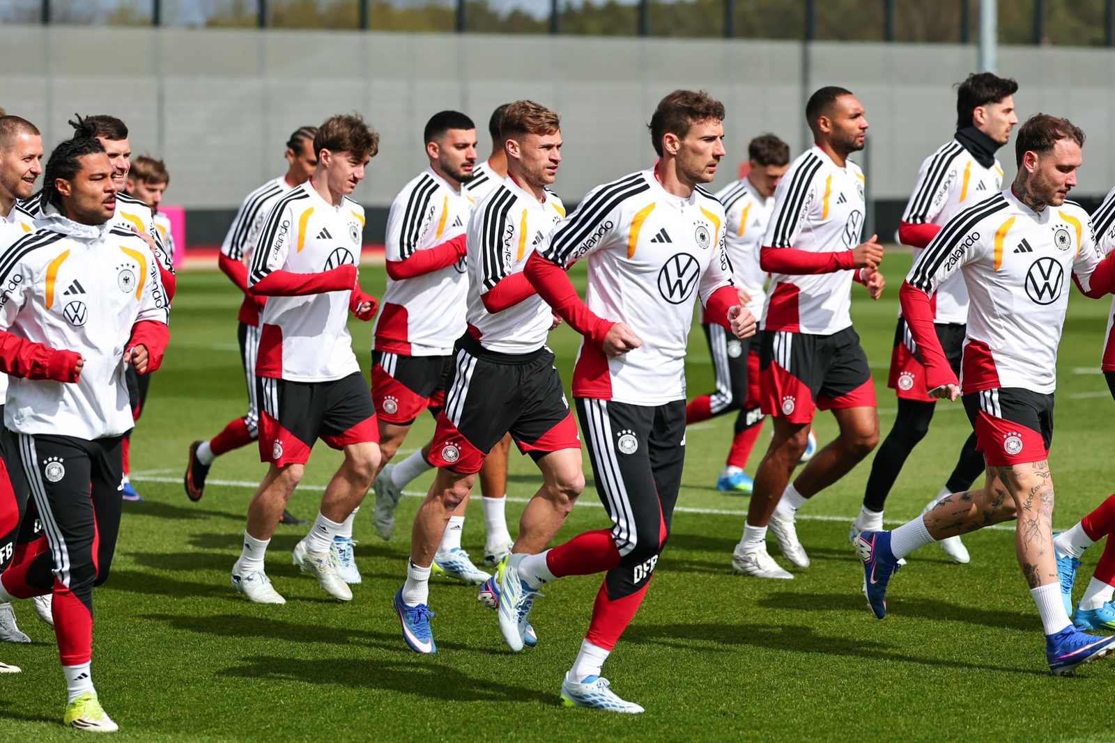 wp header logo 2078