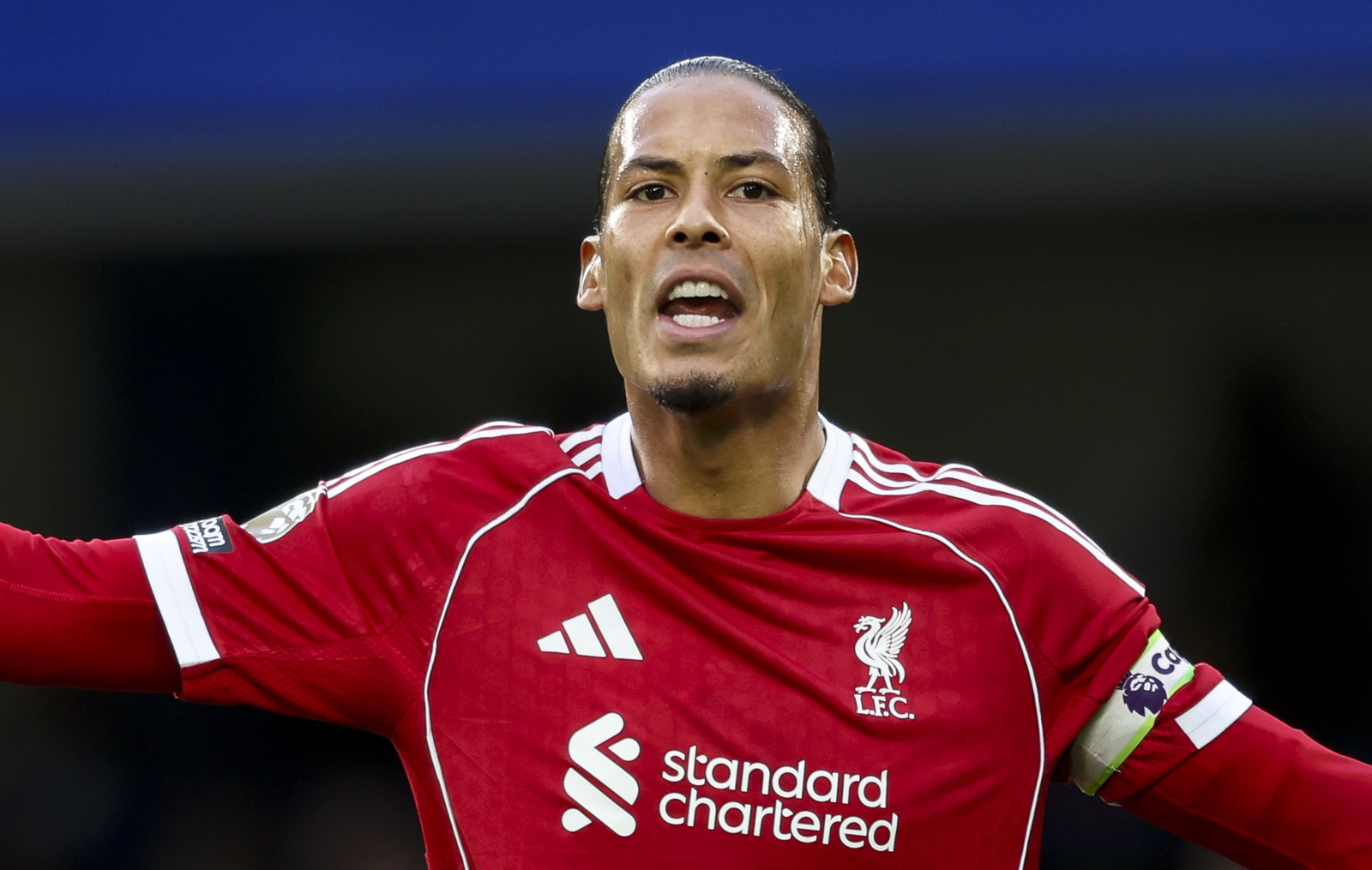 wp header logo 670