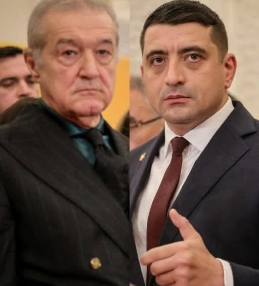 Poziția lui Gigi Becali 1 710742310 122178652736869536 8932752804221419877 n