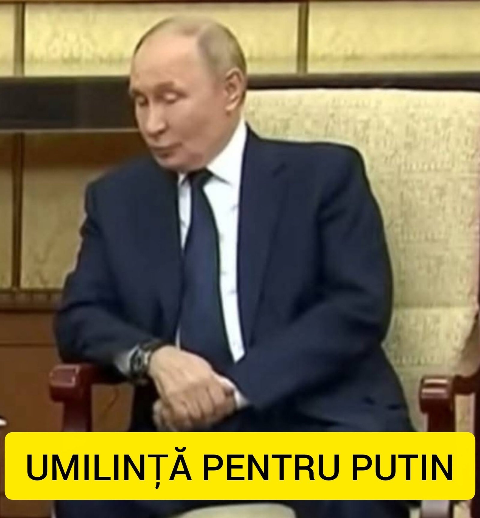 Cutremur mondial: Putin, UMILIT… 1 717803433 122179752020869536 4637767536254292912 n