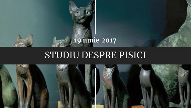 Digistoria - cele mai importante evenimente petrecute pe 19 iunie 1 wp header logo 1523