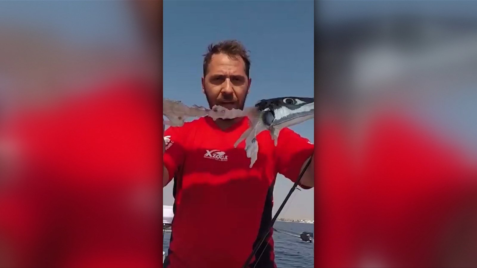 Alertă în Grecia: un pește periculos ajunge aproape de mal și poate mușca turiști. Medic: „Conține o toxină foarte periculoasă” 1 wp header logo 1677