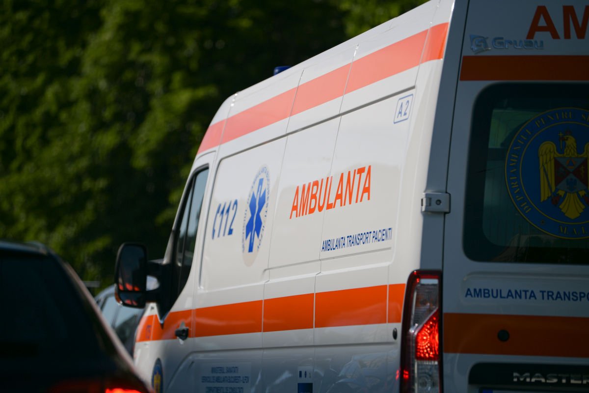 Un copil de 2 ani din București a ajuns la spital în stare gravă, după ce a fost muşcat de câinele rudelor pe care le vizita cu mama lui 1 wp header logo 1996