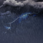 wp header logo 2489