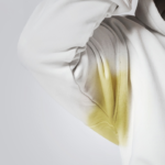 wp header logo 307