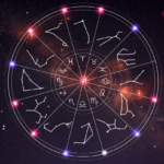 wp header logo 627