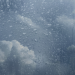 wp header logo 719