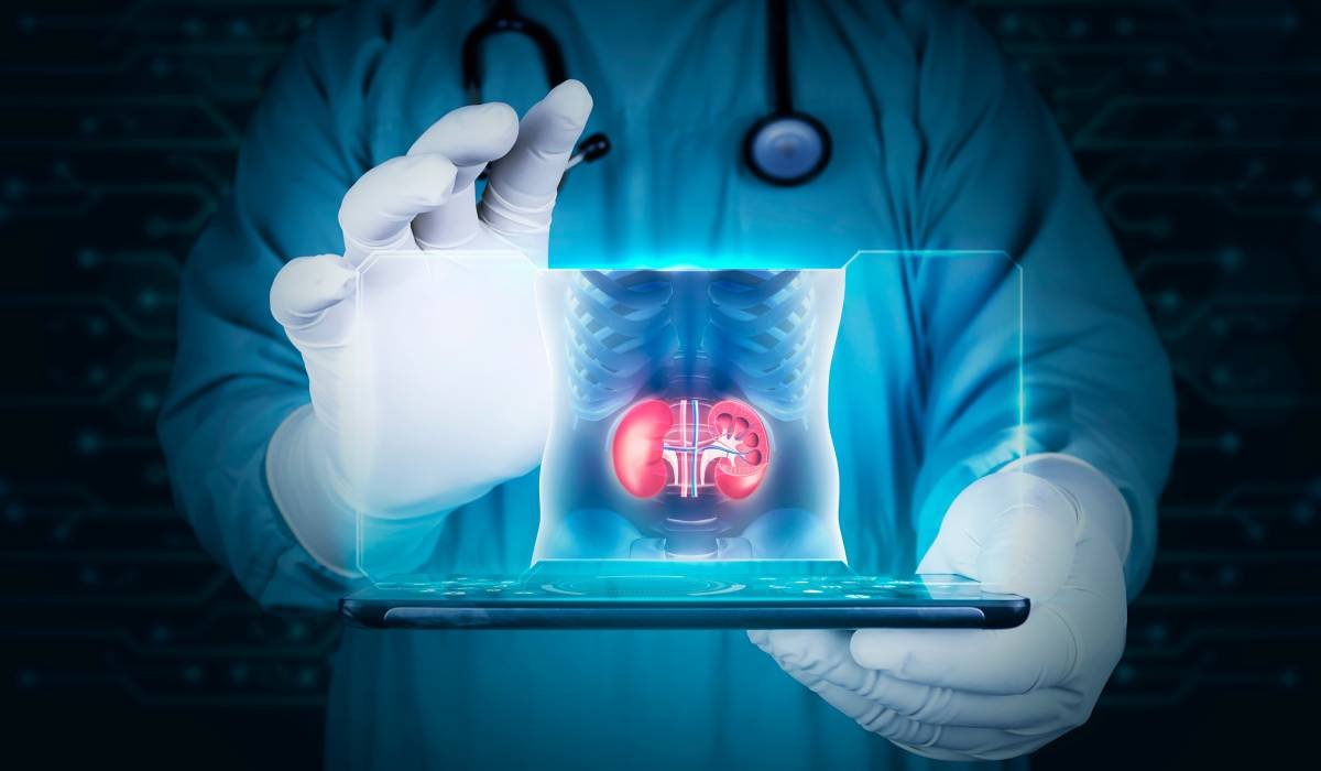 Cum îți poți proteja rinichii în timpul chimioterapiei: recomandări importante pentru pacienții oncologici 1 wp header logo 722