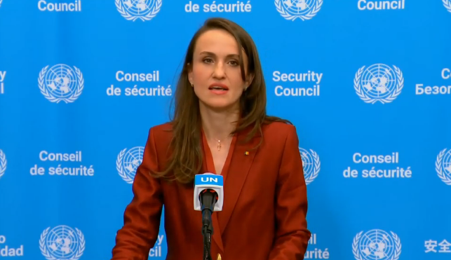Oana Ţoiu, după Consiliul de Securitate al ONU: Comunitatea internaţională arată că o încălcare flagrantă nu trebuie să fie tolerată 1 wp header logo 80