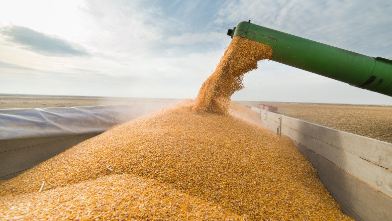 Avertisment de la Bruxelles: „UE are nevoie de soluții pe termen lung pentru îngrășăminte, pentru a evita o criză alimentară” 1 wp header logo 846