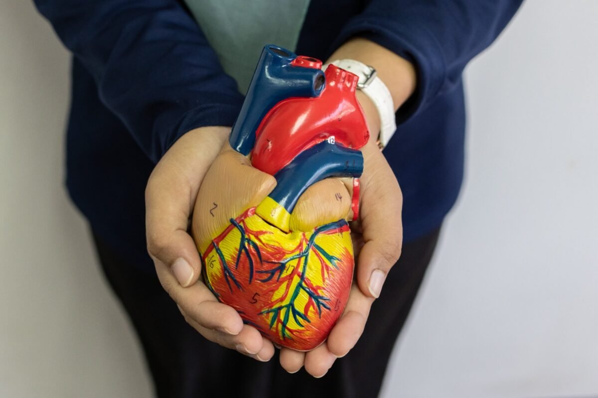 (P) Atenție la afecțiunile care pot apărea la nivelul sistemului cardiovascular 1 wp header logo 975
